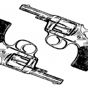 https://pixabay.com/en/guns-revolver-two-weapon-pistols-307948/